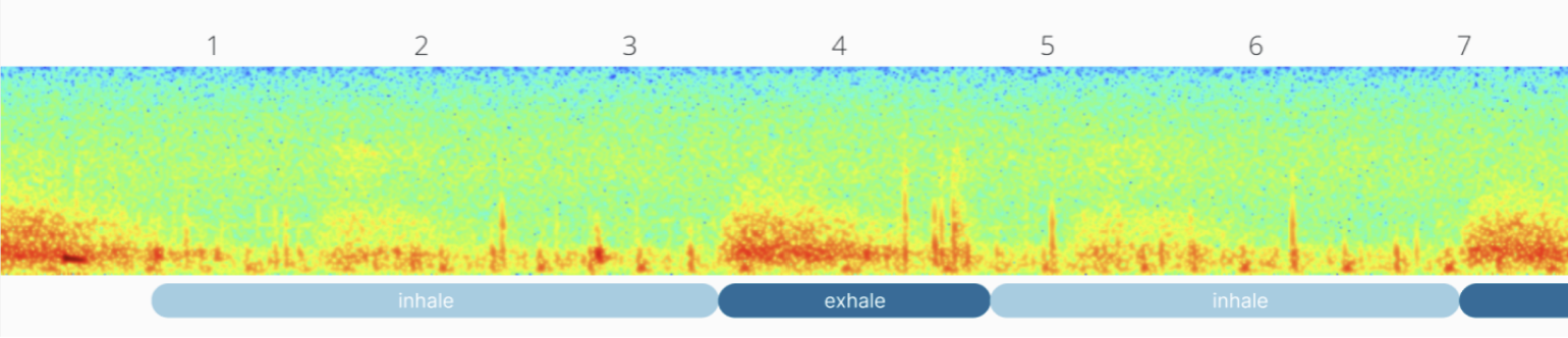 Spectrogram of a recorded breath sound with a numbered timeline and inhale/exhale phase markers